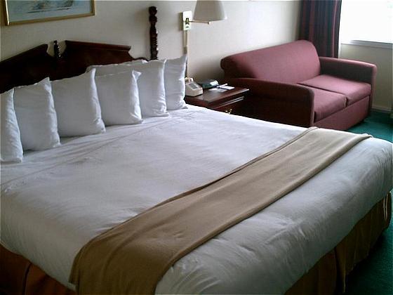 Econo Lodge Inn & Suites Triadelphia - Wheeling Chambre photo